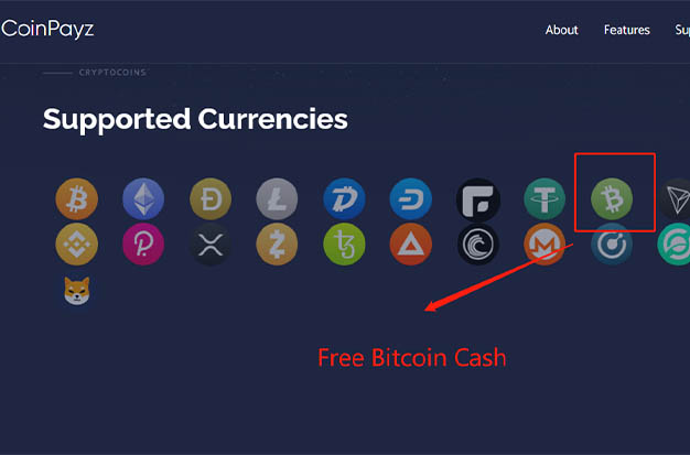 Coinpayz-Bitcoin Cash